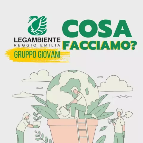 COSA FACCIAMO